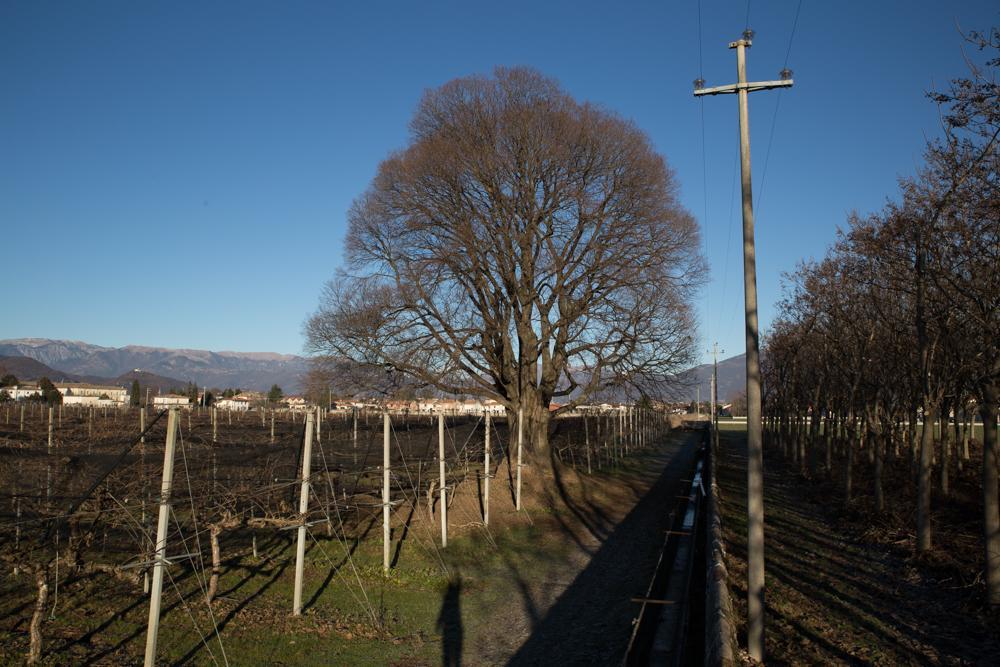 Al Bagolaro Crocetta del Montello Exterior foto