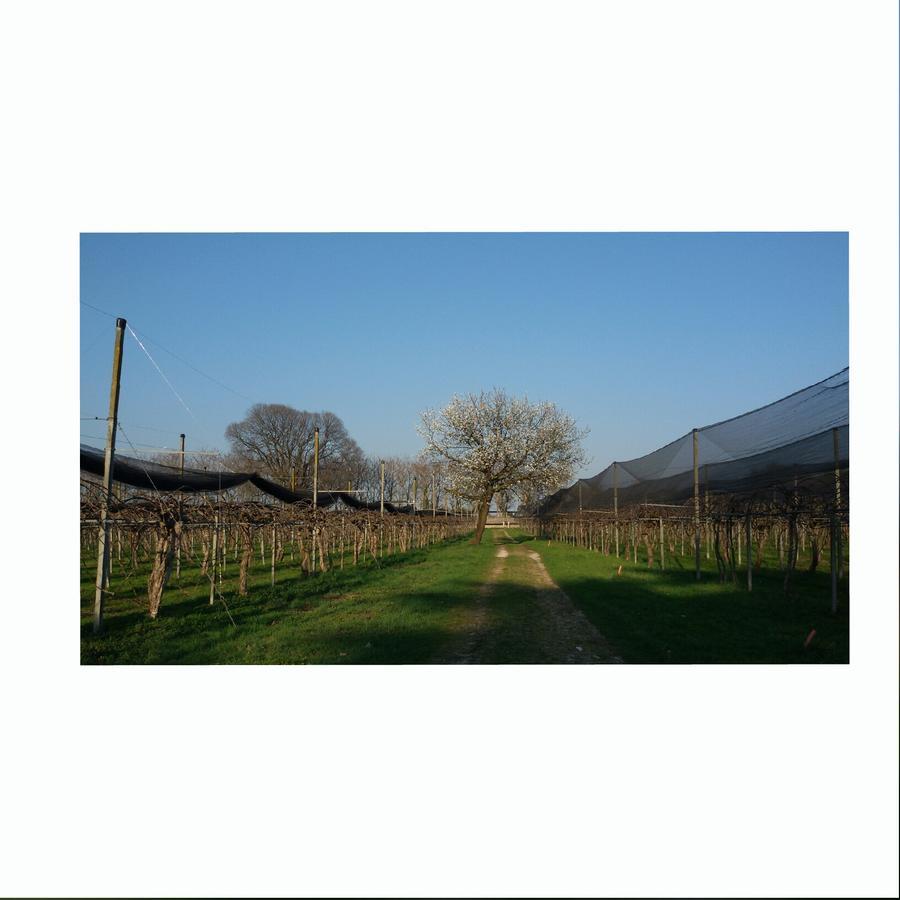 Al Bagolaro Crocetta del Montello Exterior foto